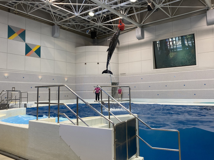 E829a6ee7c8f4c13862e27130ff1cbb1