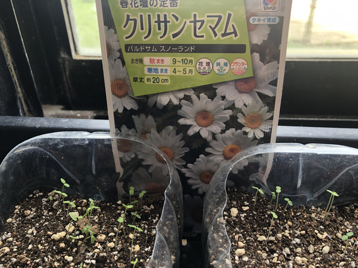 6c17c1c428bf4ec5ac25328d59c45638