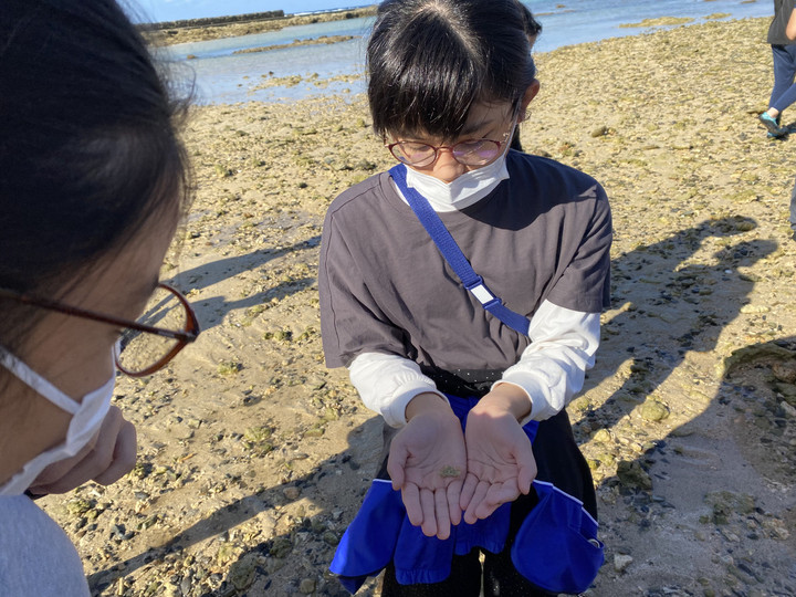 0dba3b8f7d2149a4afce7cafe5dabe18