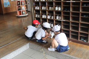Img_5796 Img_5796